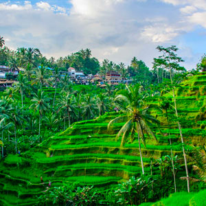 Guía turismo Bali