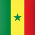 Guías turismo África